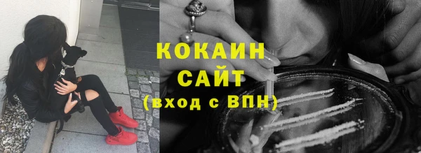 2c-b Бородино