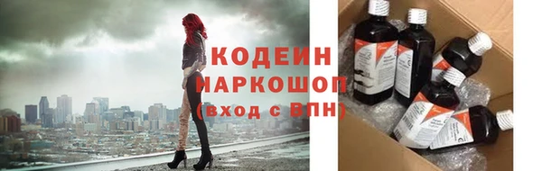 2c-b Бородино