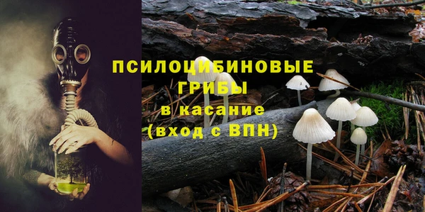 2c-b Бородино