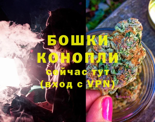 2c-b Бородино