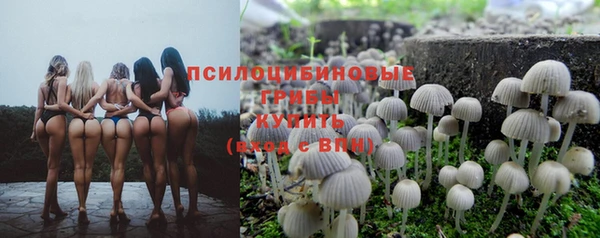 2c-b Бородино