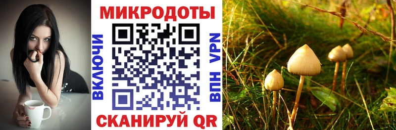 наркота  Бронницы  Галлюциногенные грибы мицелий 